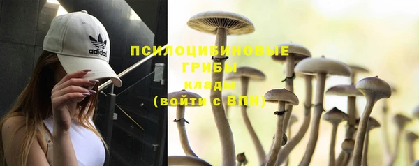 гидра Белоозёрский