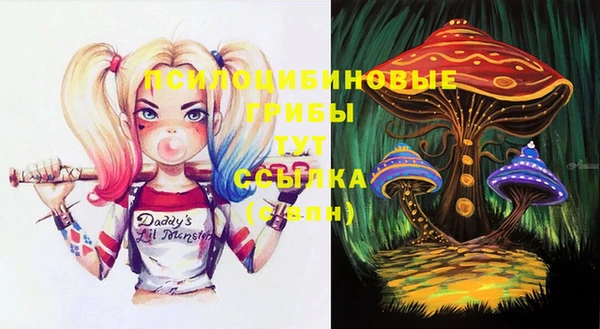 мдма Белокуриха