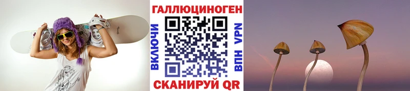 Псилоцибиновые грибы мицелий  Электроугли 